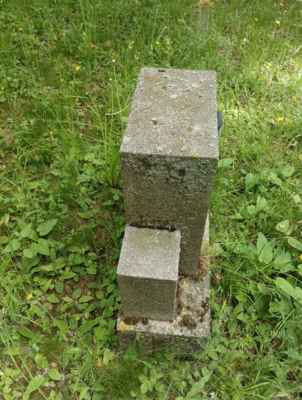 006