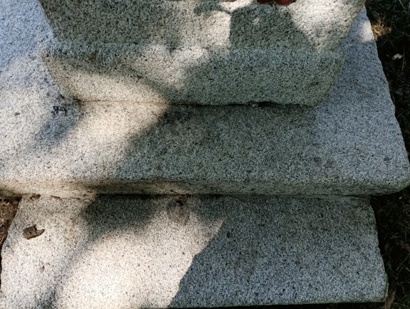 036