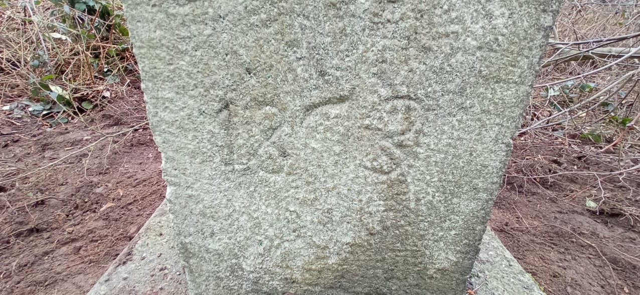 26